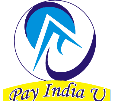 PayIndiaU Logo